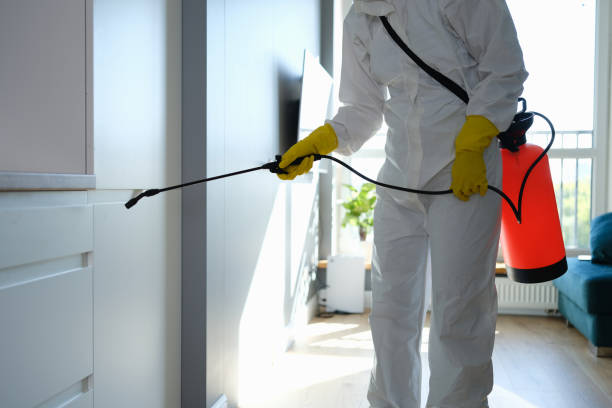 Mold Testing and Removal in Morocco, IN