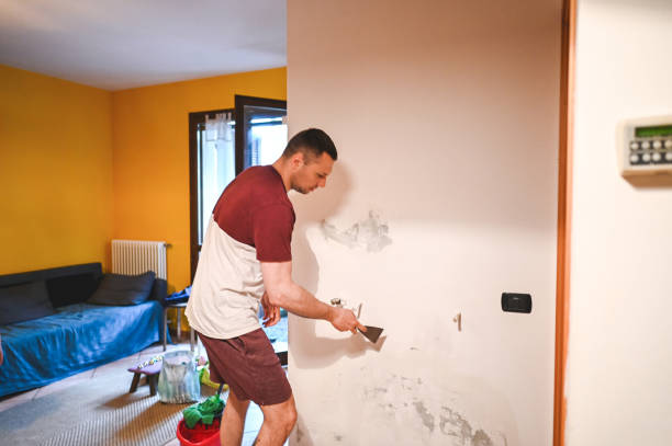 Best Mold Damage Repair  in Morocco, IN